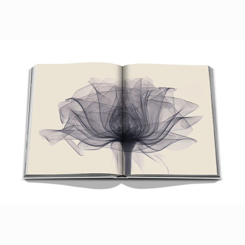 Flowers: Art & Bouquets