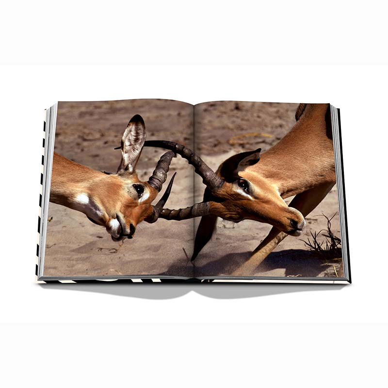 African Adventures: The Greatest Safari on Earth