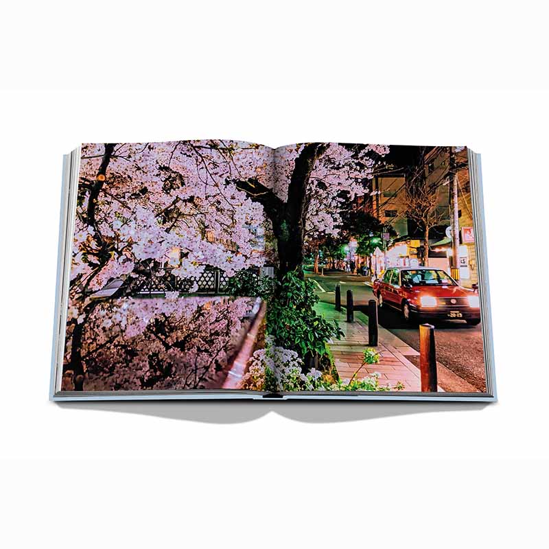 Kyoto Serenity