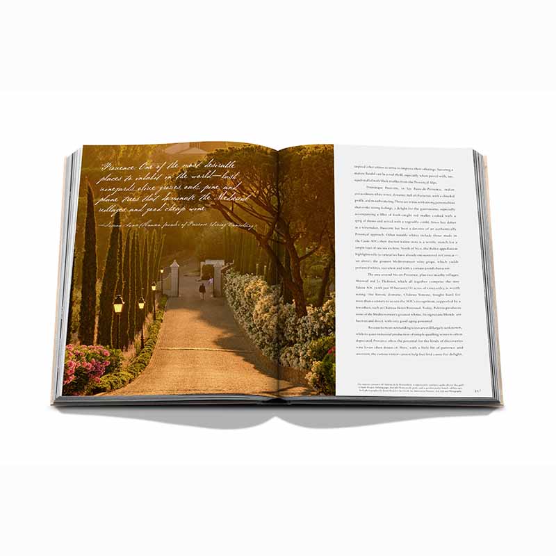 Wine and Travel France