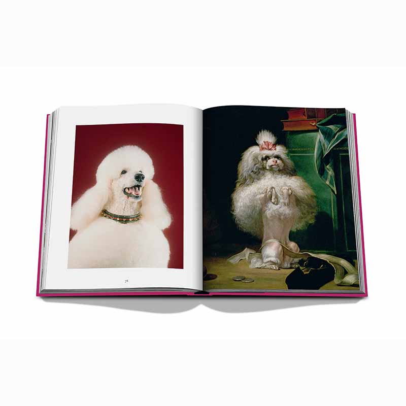 Chic Dogs