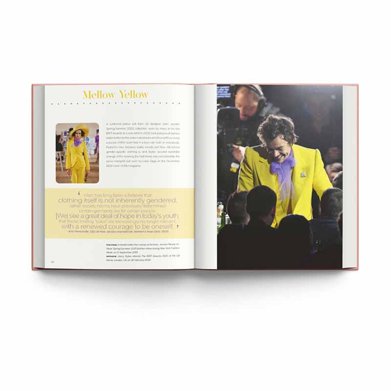 Harry Styles, And the Clothes He Wears