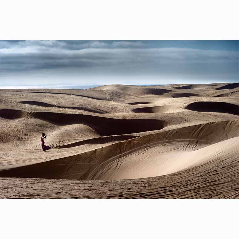 Chasing Paradise, David Drebin