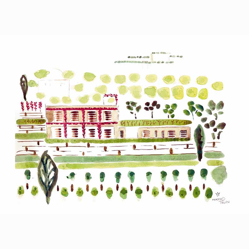 Collecting Fine Art - LUMAS Portfolio Vol. 2