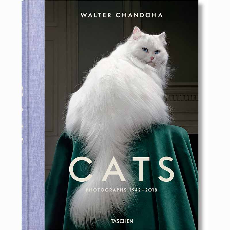 Cats Photographs 1942–2018