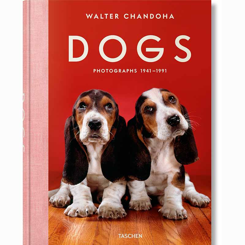 Dogs Photographs 1941–1991