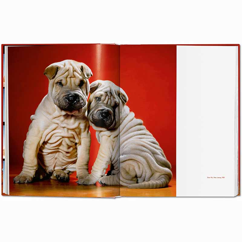 Dogs Photographs 1941–1991