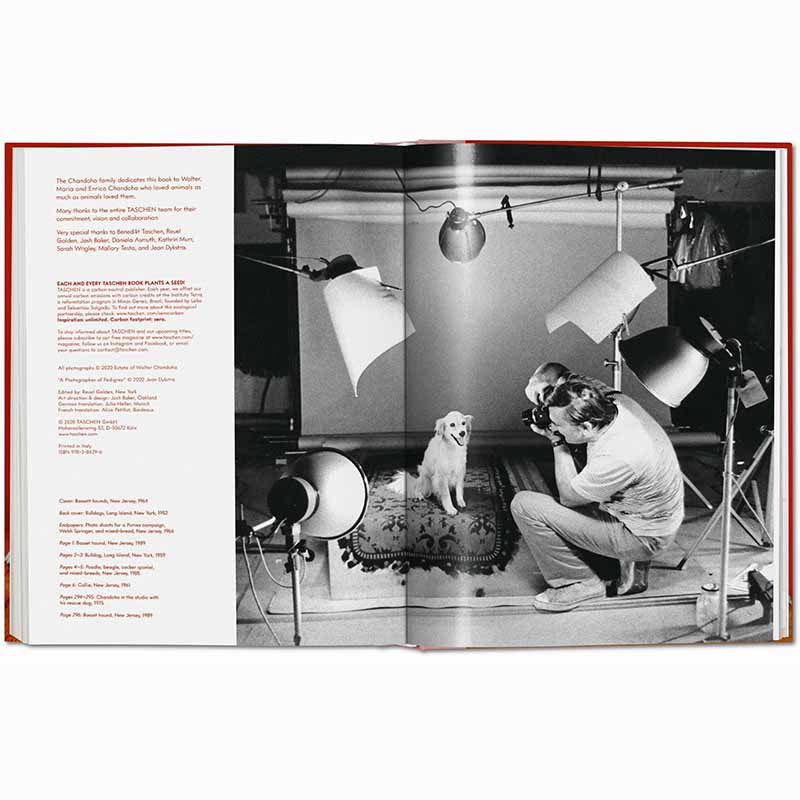 Dogs Photographs 1941–1991