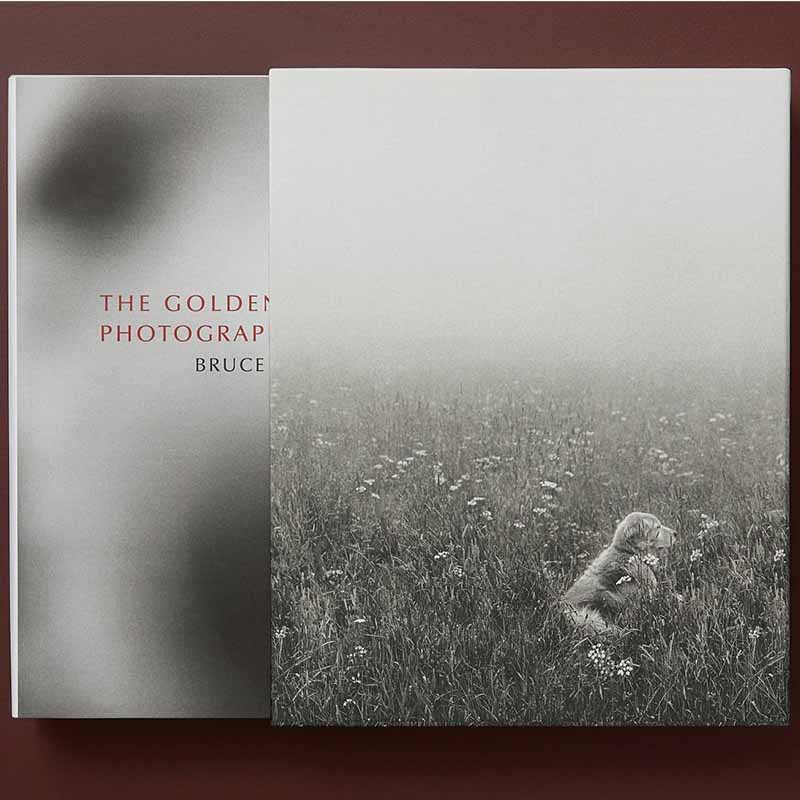 The Golden Retriever Photographic Society, Bruce Weber