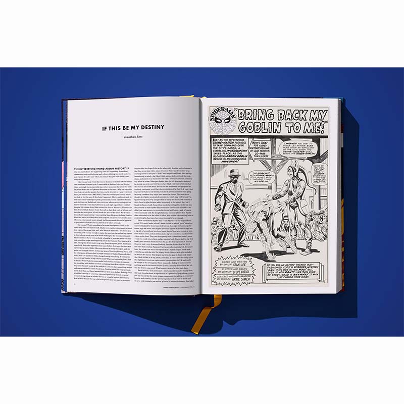 Marvel Comics Library. Spider-Man. Vol. 2 1965–1966