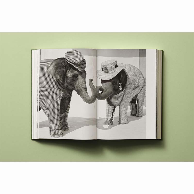 Bruce Weber. My Education