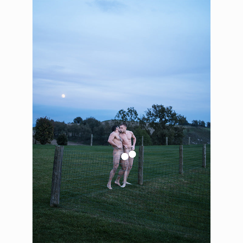 The Fine Art of Erections, Gruenholtz