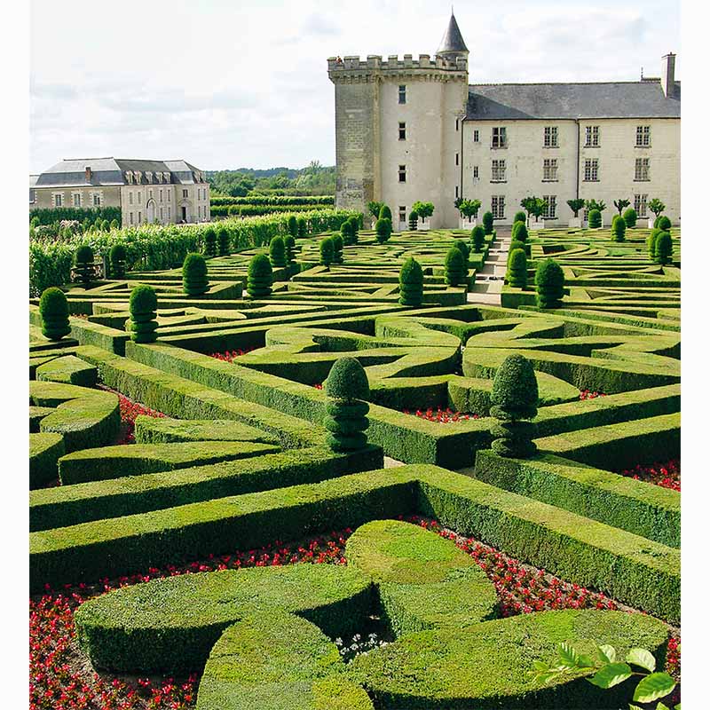 Garden Design Review