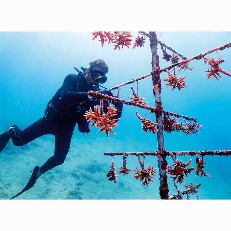 Heroes of the Sea