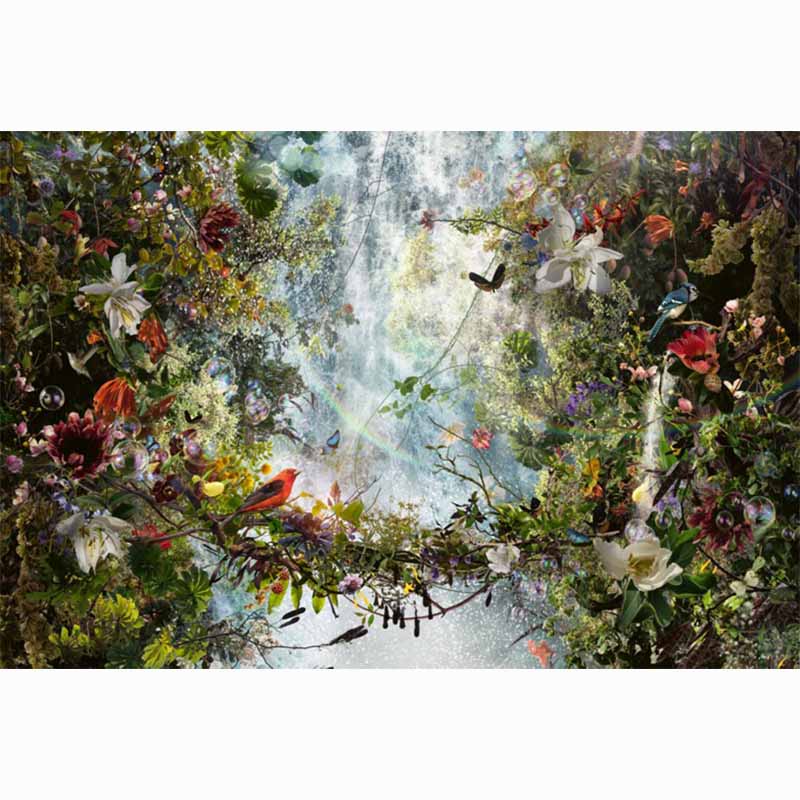 Collecting Fine Art - The Lumas Portfolio - volume IV