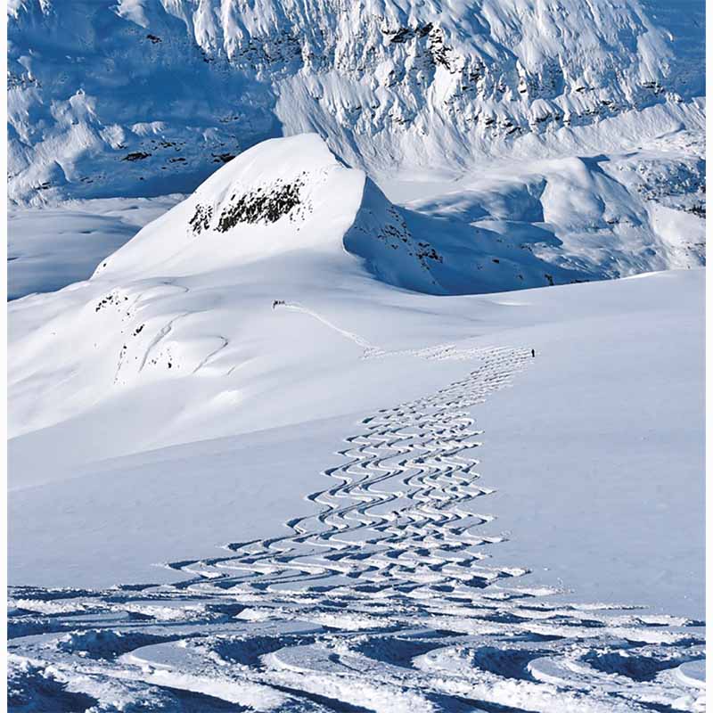 The Ultimate Ski Book (Revised Edition)