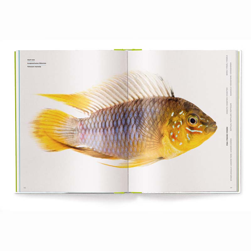 Groeien - Hoe Dieren Op De Wereld Komen