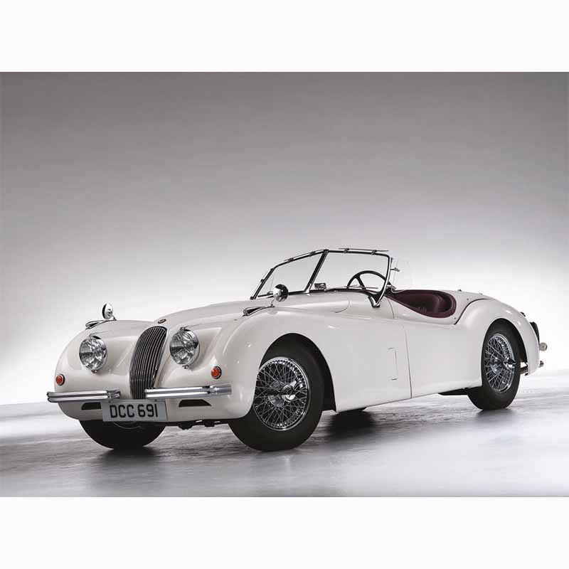 The Jaguar Book
