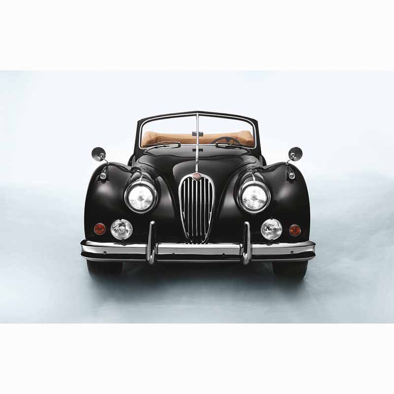 The Jaguar Book