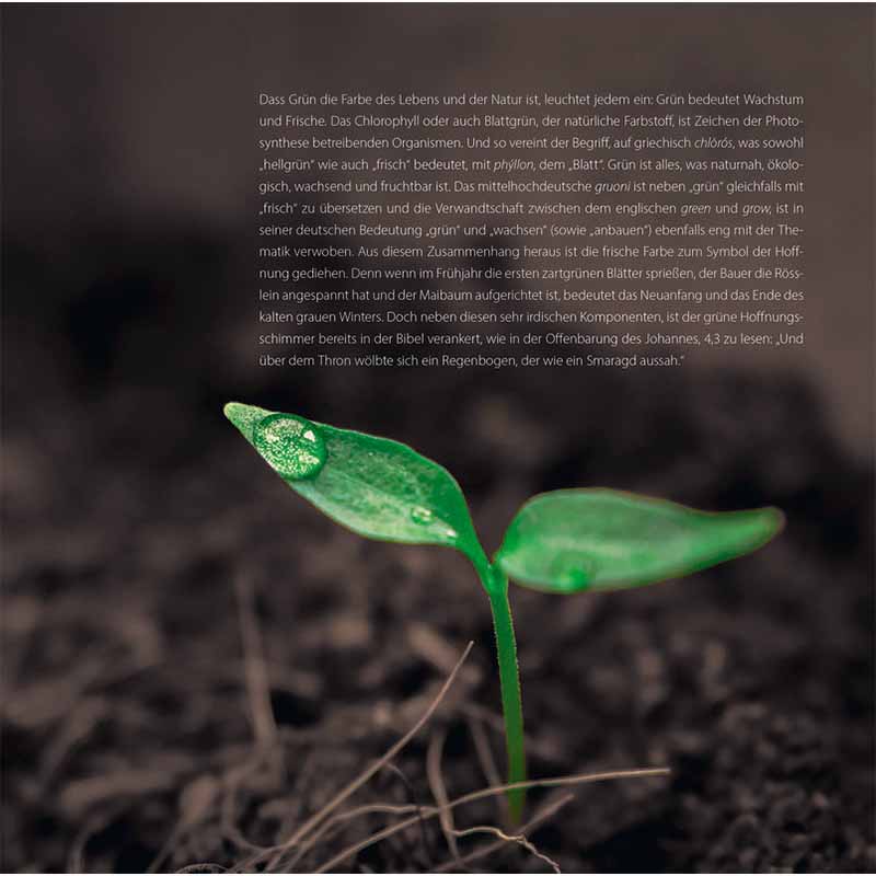 Why Bees Do Not See Red and We Sometimes Feel Blue