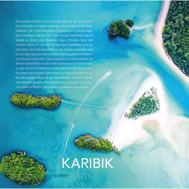 Why Bees Do Not See Red and We Sometimes Feel Blue