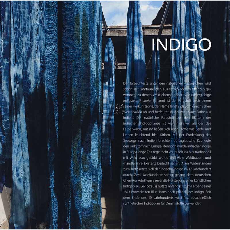 Why Bees Do Not See Red and We Sometimes Feel Blue