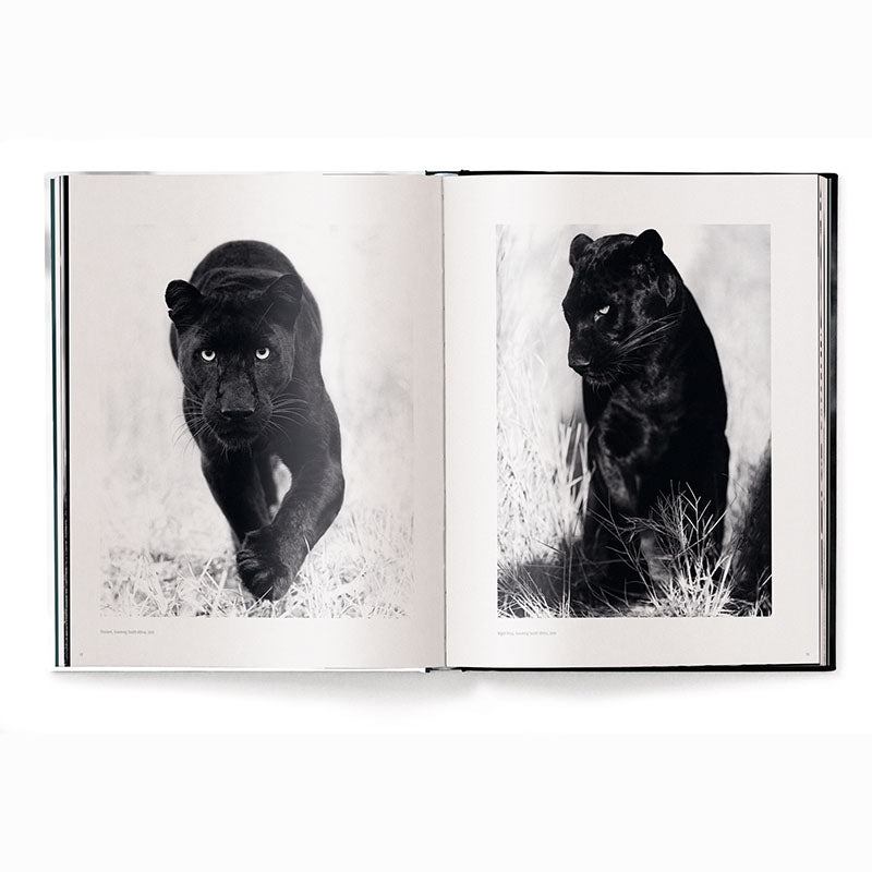 Beusker, Look Into my Eyes