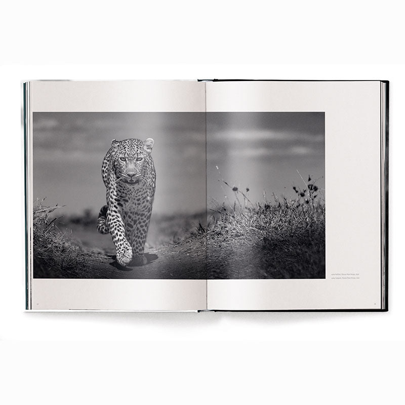 Beusker, Look Into my Eyes