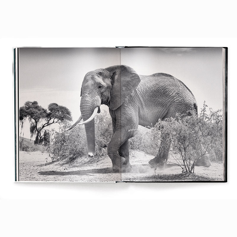 Beusker, Look Into my Eyes