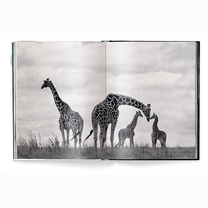 Beusker, Look Into my Eyes