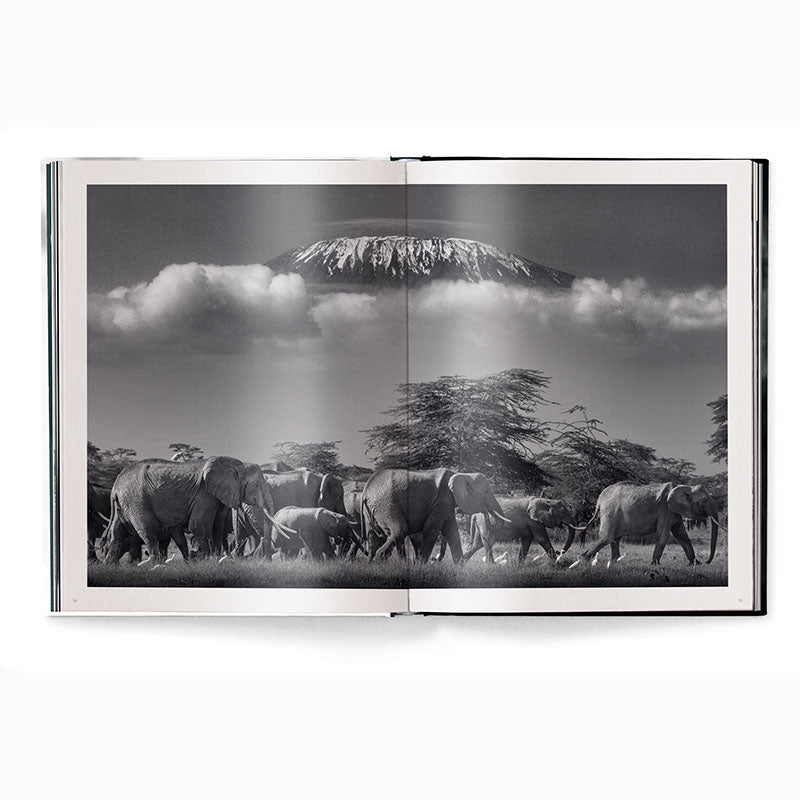 Beusker, Look Into my Eyes