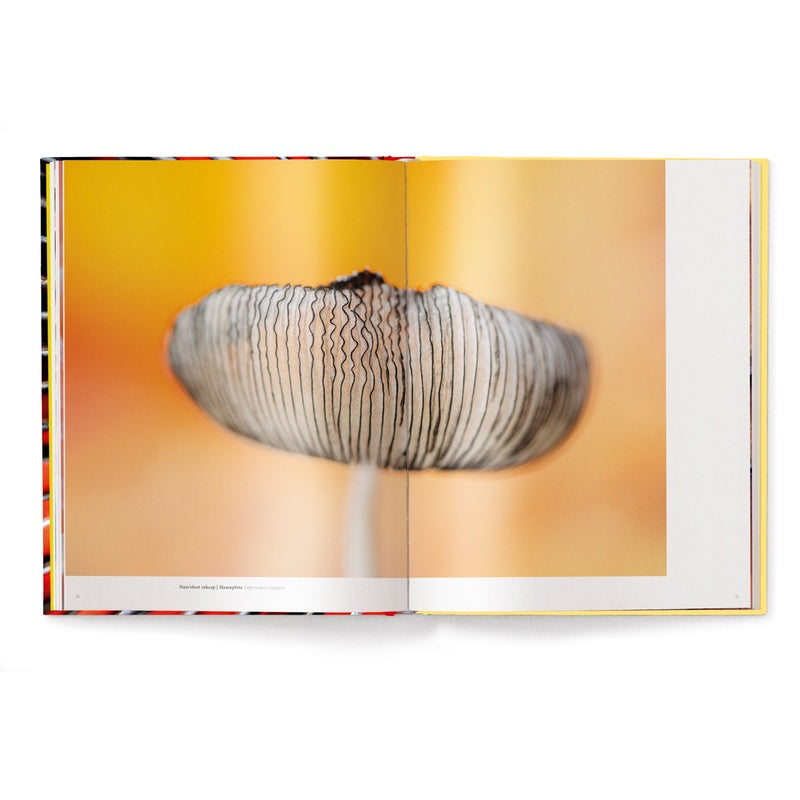 Wonderland, The Secret World of Mushrooms
