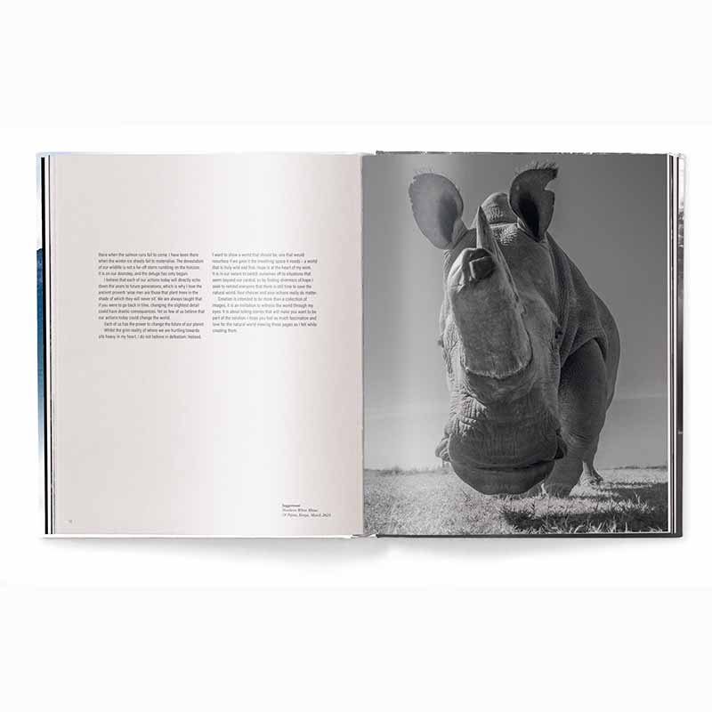 Creation, Masterpieces from the Natural World