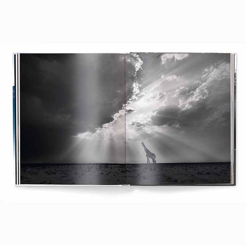 Creation, Masterpieces from the Natural World