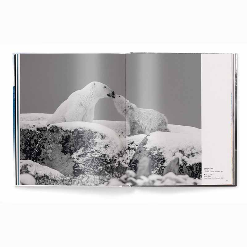 Creation, Masterpieces from the Natural World