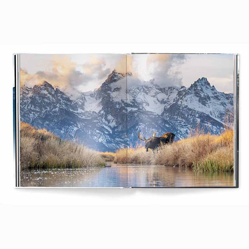 Creation, Masterpieces from the Natural World