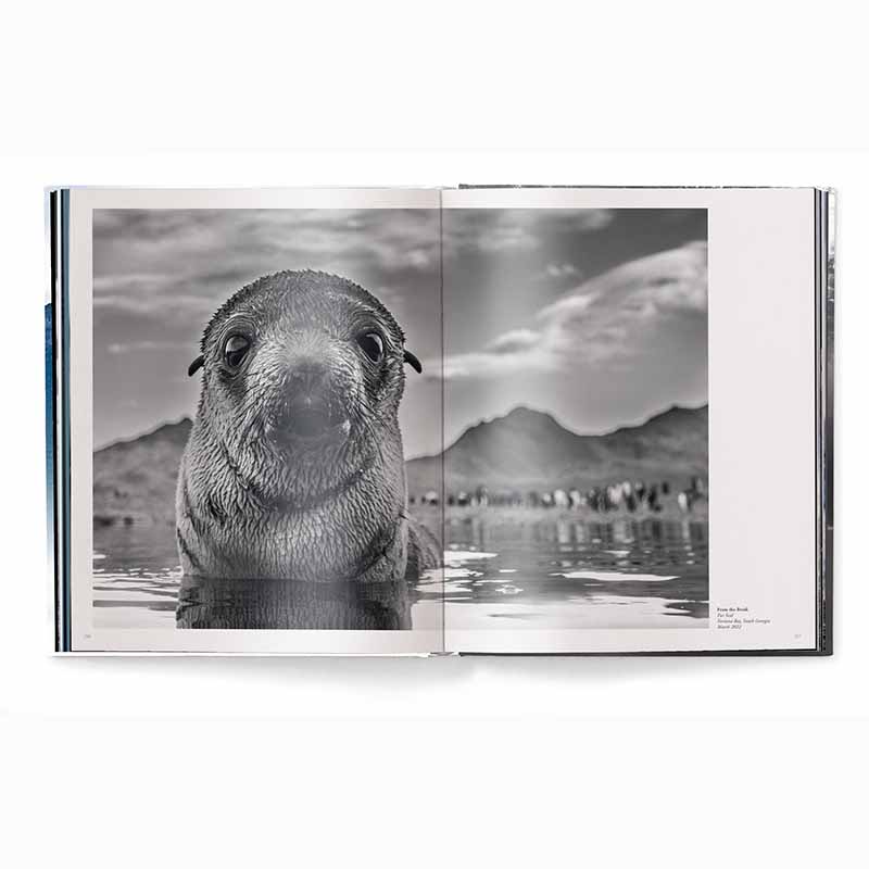 Creation, Masterpieces from the Natural World