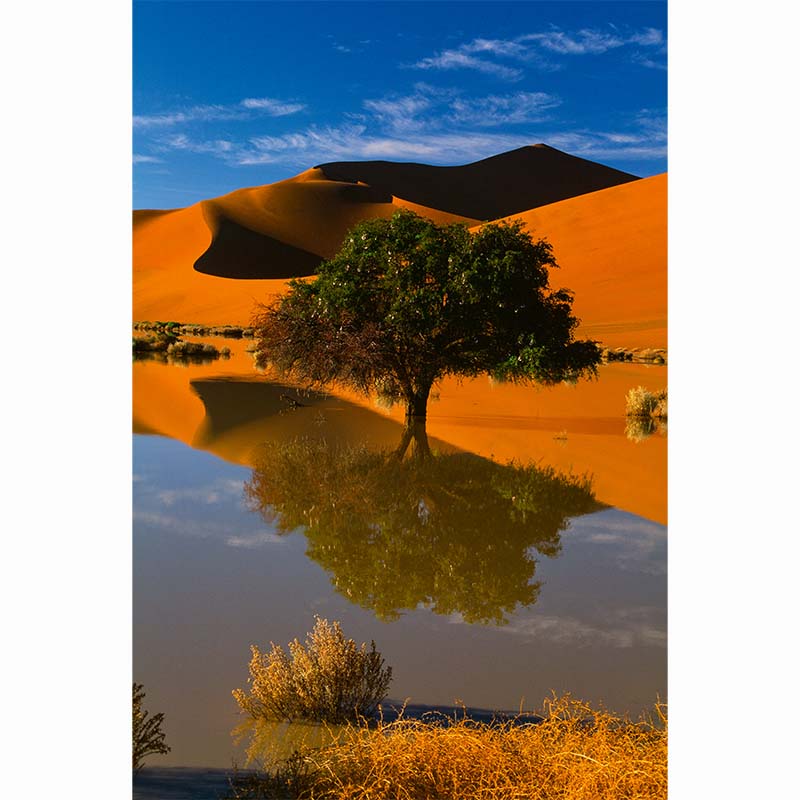 Deserts, Philippe Bourseiller