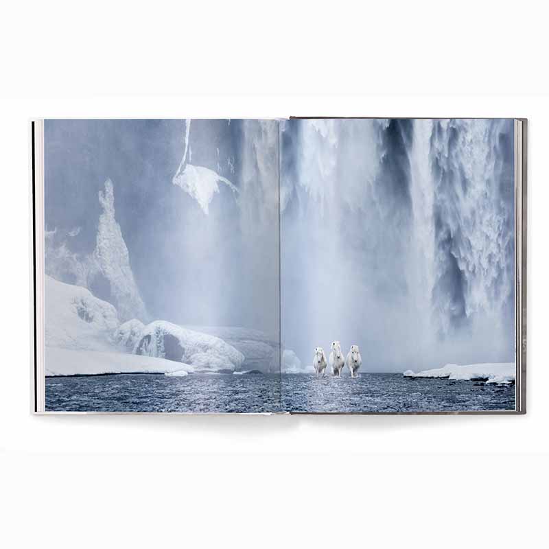 Untamed Spirits Horses From Around the World