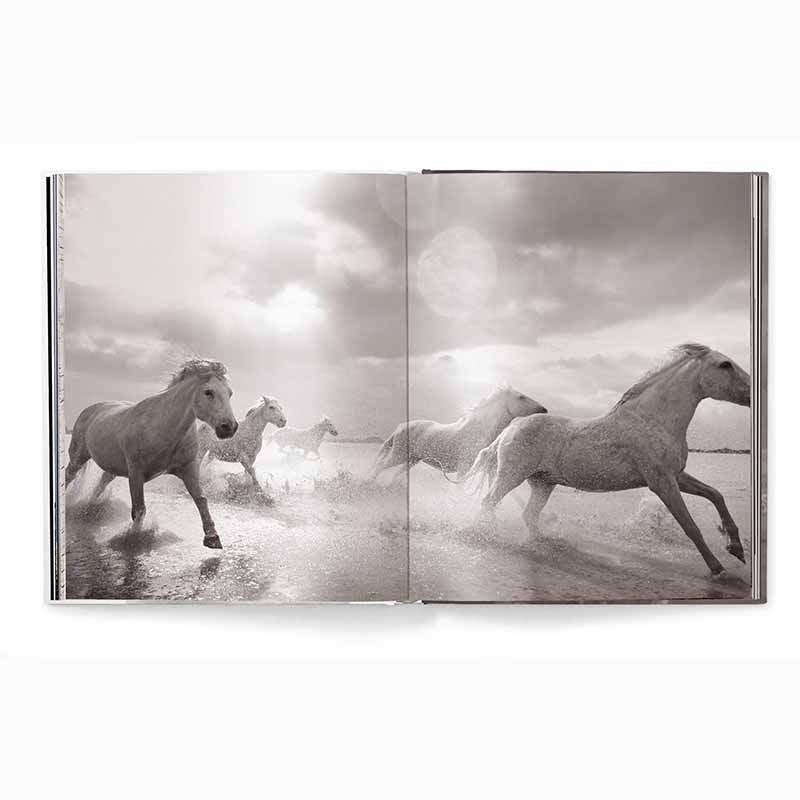 Untamed Spirits Horses From Around the World