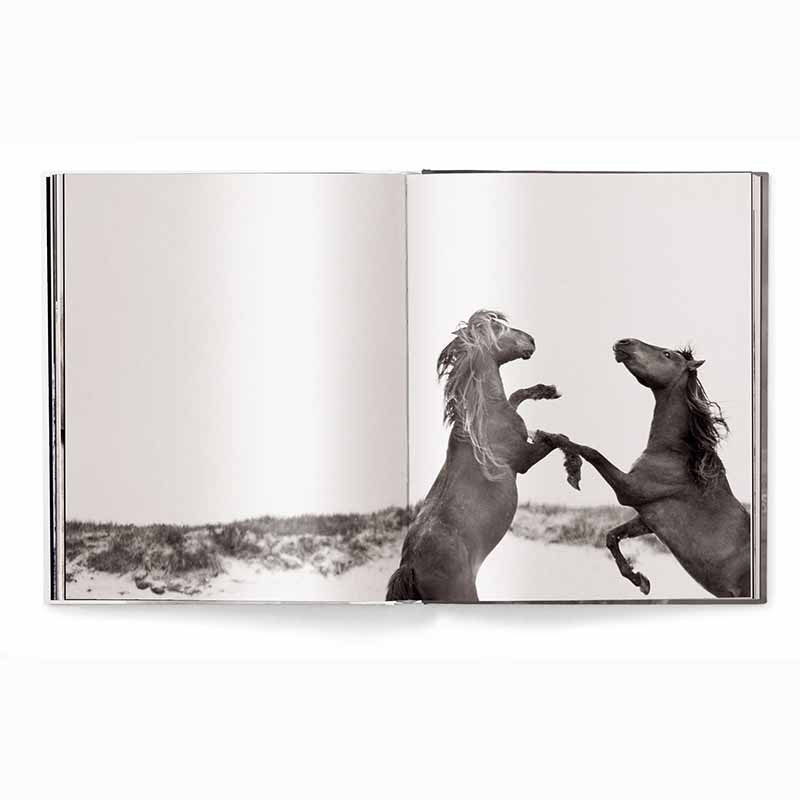 Untamed Spirits Horses From Around the World