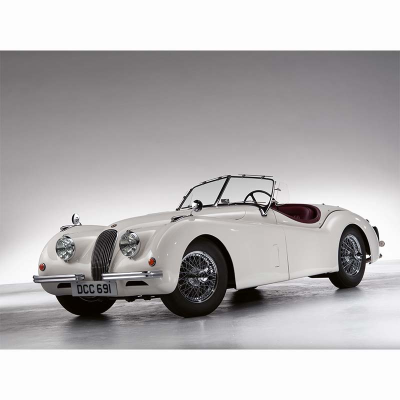 The Jaguar Book (Collectors Edition)