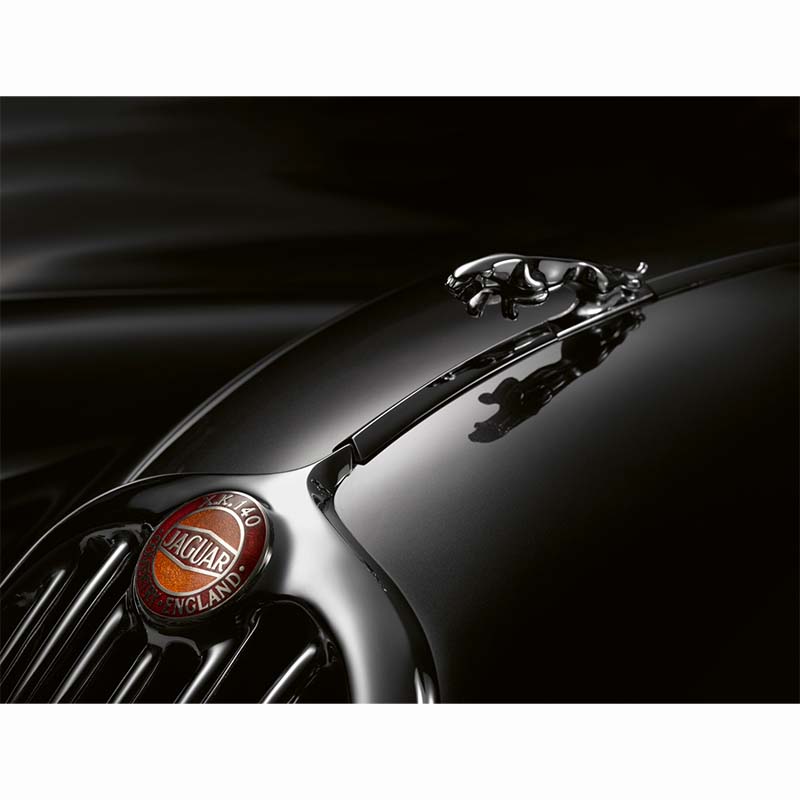 The Jaguar Book (Collectors Edition)