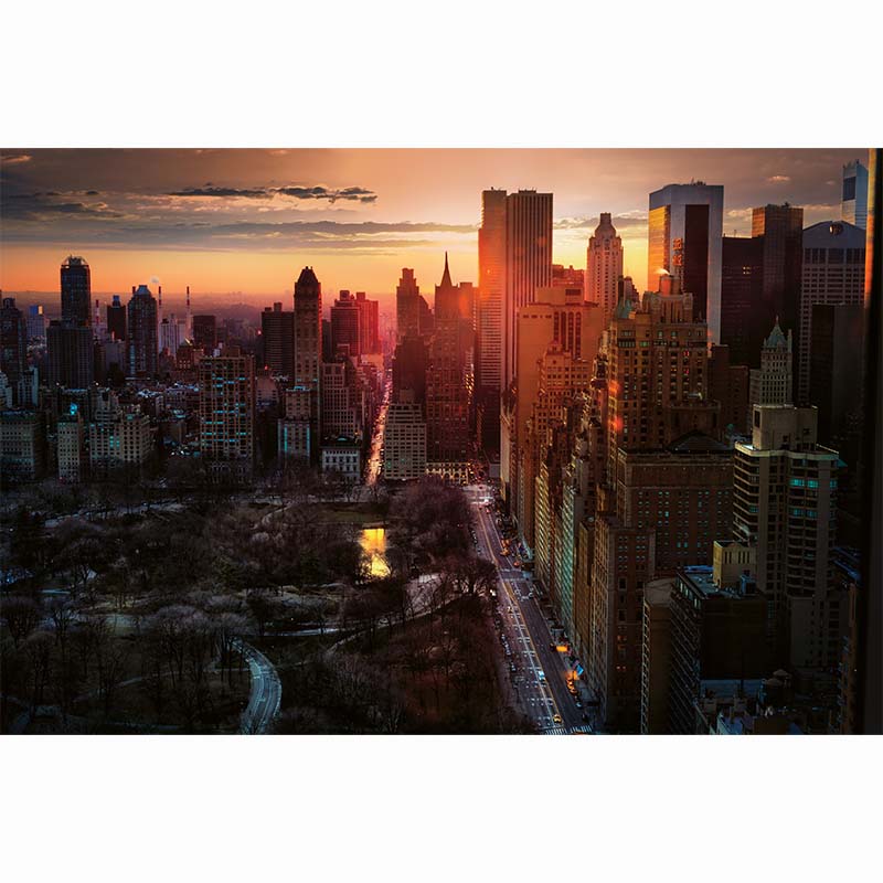 I Love New York, David Drebin