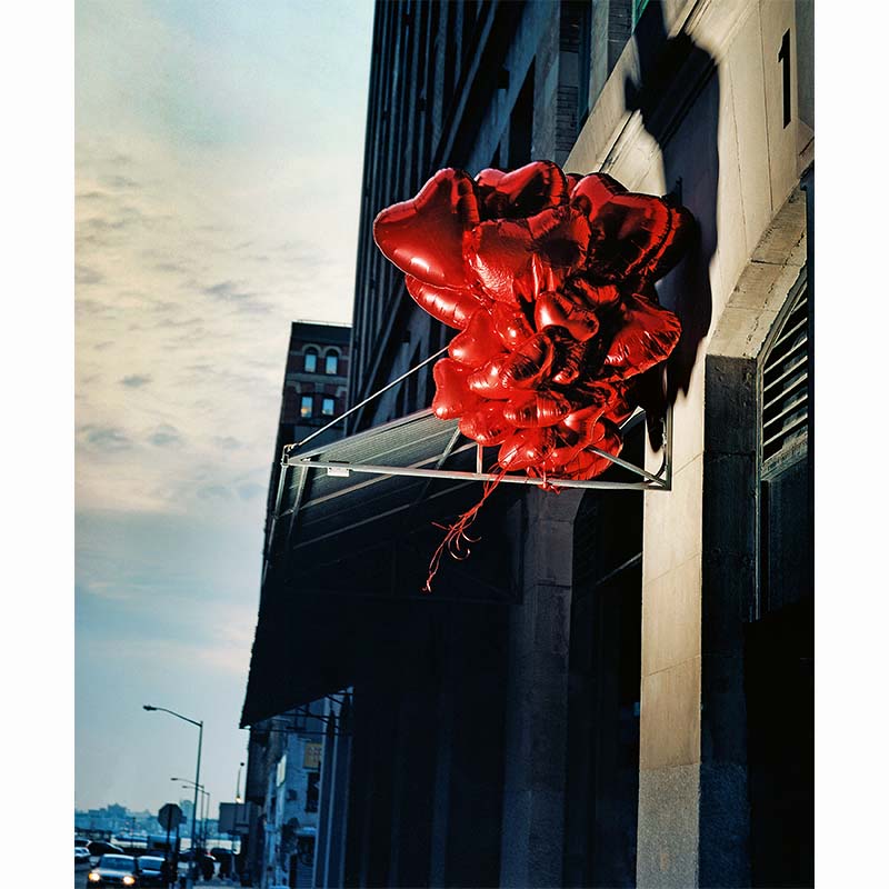 I Love New York, David Drebin