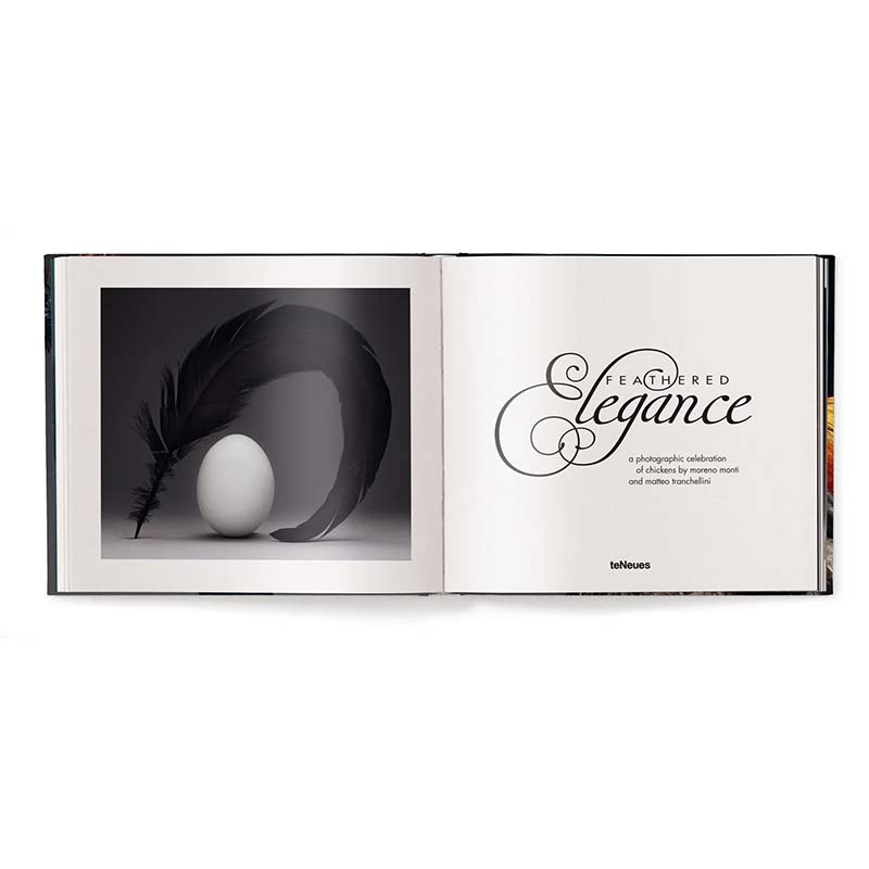 Feathered Elegance, A Photographic Celebration of Chickens