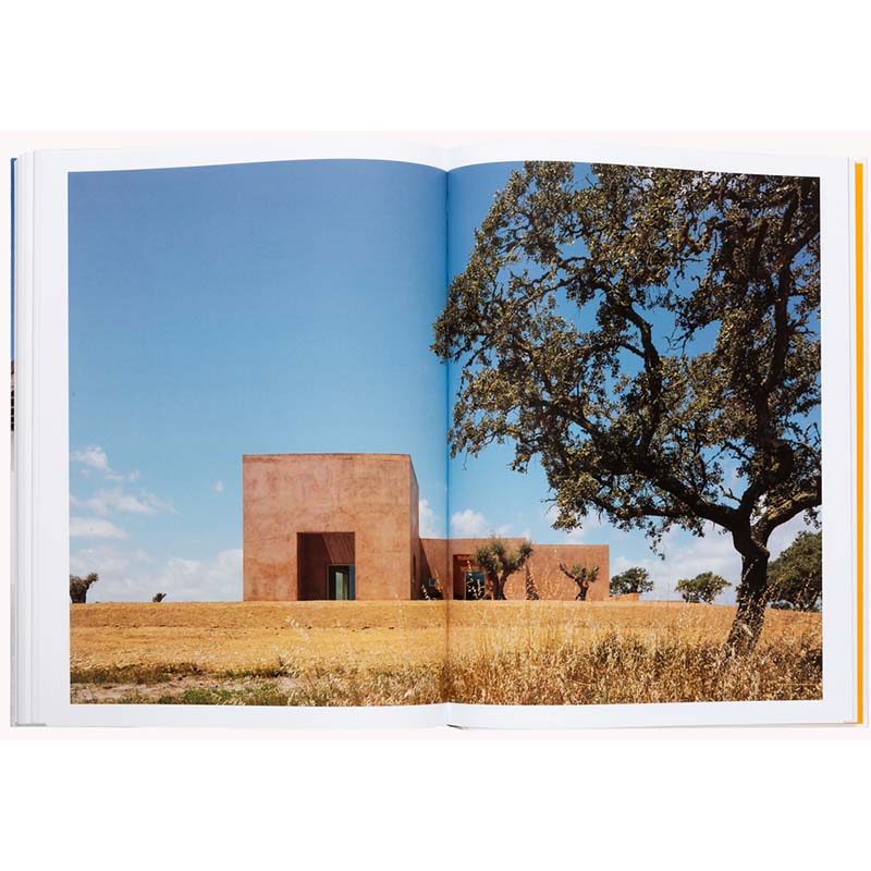 The Mediterranean Home: Residential Architecture and Interiors with a Southern Touch