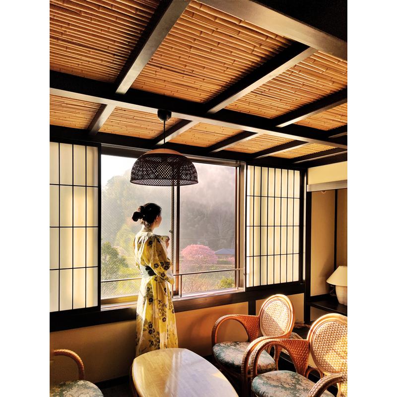 Onsen and Ryokan of Japan: Traditional Spa and Bathing Culture