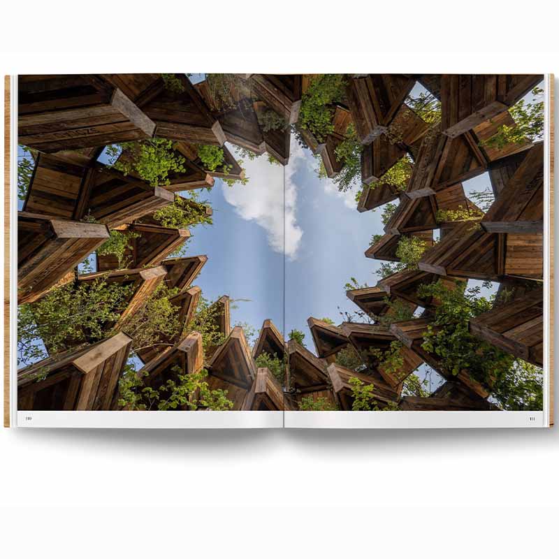 Wood Cozy Interiors for Timeless Living Spaces