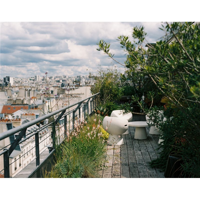 Cottagecore Gardens: A New Take on Living Landscapes
